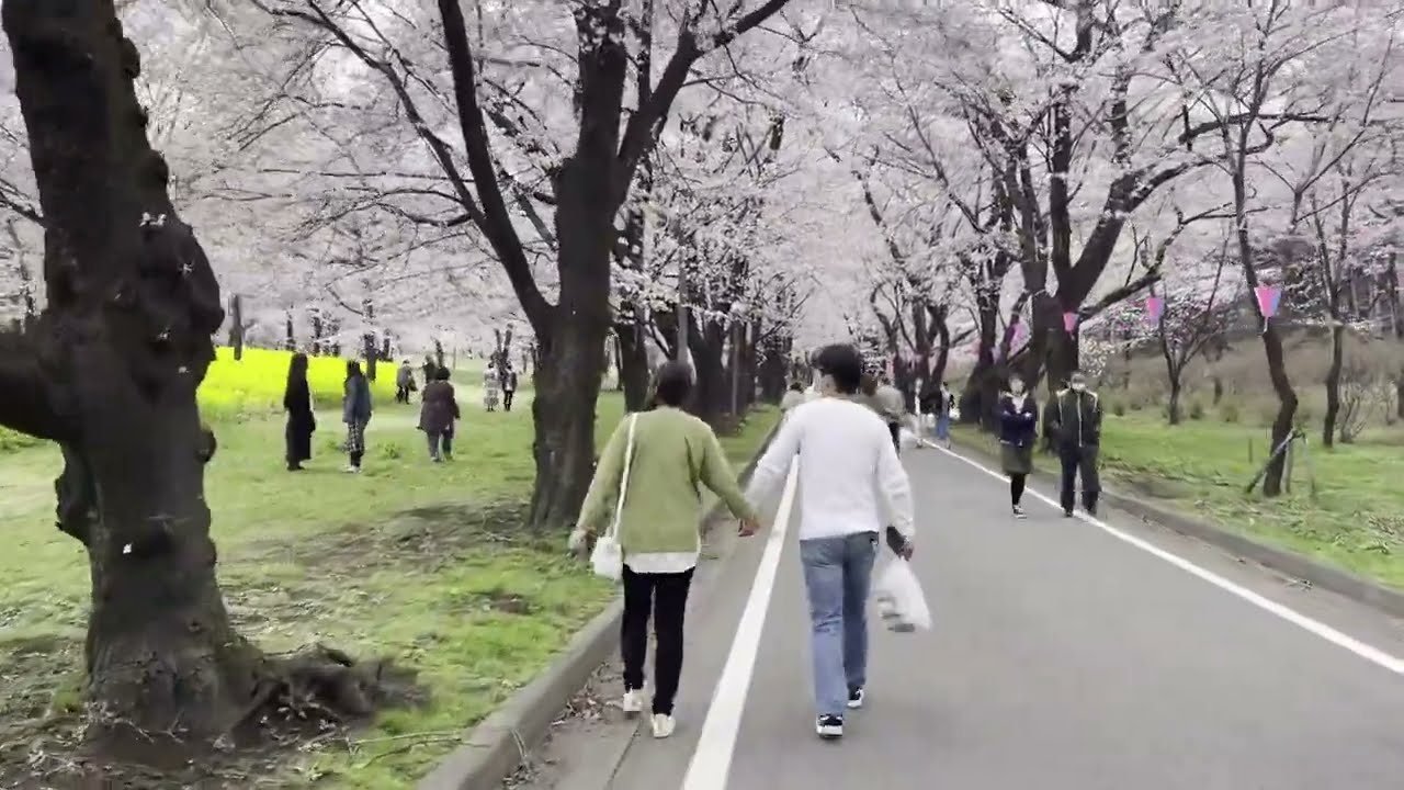 🗼 하치만야마 공원 우쓰노미야 타워 이미지 7